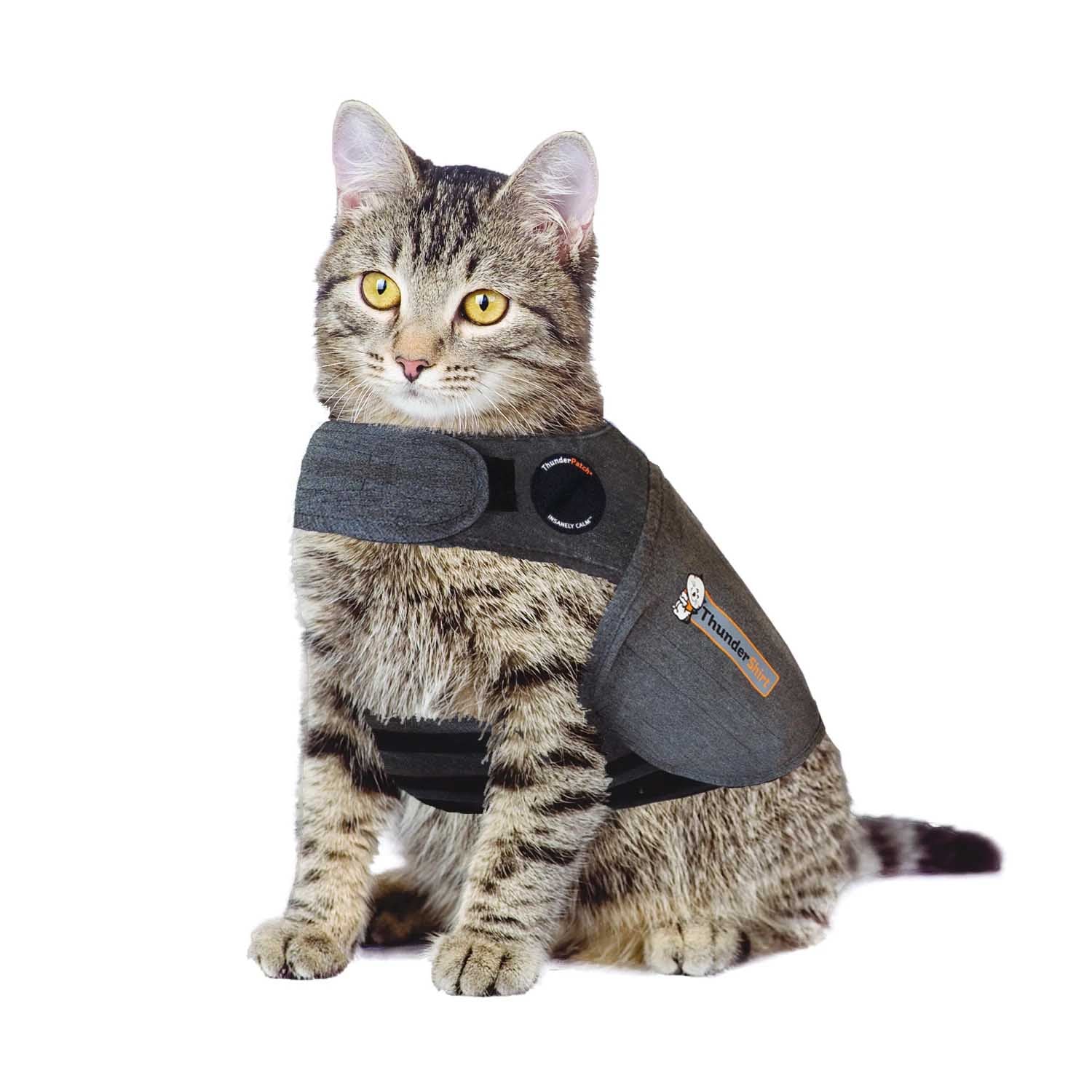01_ThunderShirt_for_Cats_-_Small_893ee073-1b8d-4185-865f-999176b8bc54.jpg