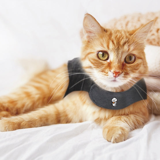 03_-_ThunderShirt_for_Cats_-_lifestyle.jpg