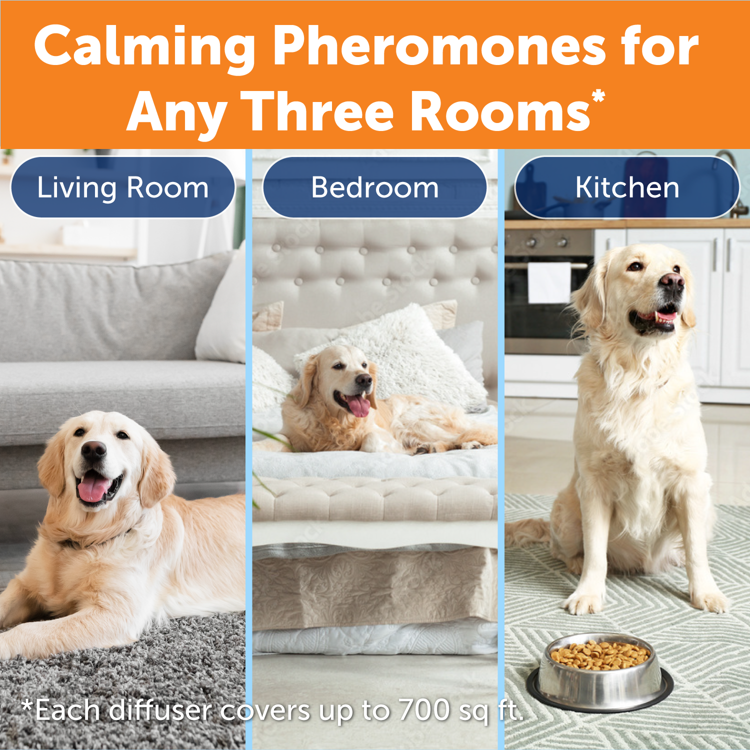 04-Multi-Room_Bundle-Where_to_Use.png