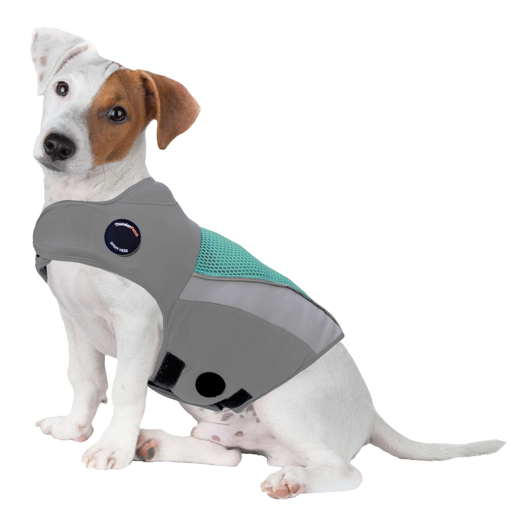 G66511B-S_Aqua_9acb7b7f-4bea-4cf6-bba9-20b51963cd68.png