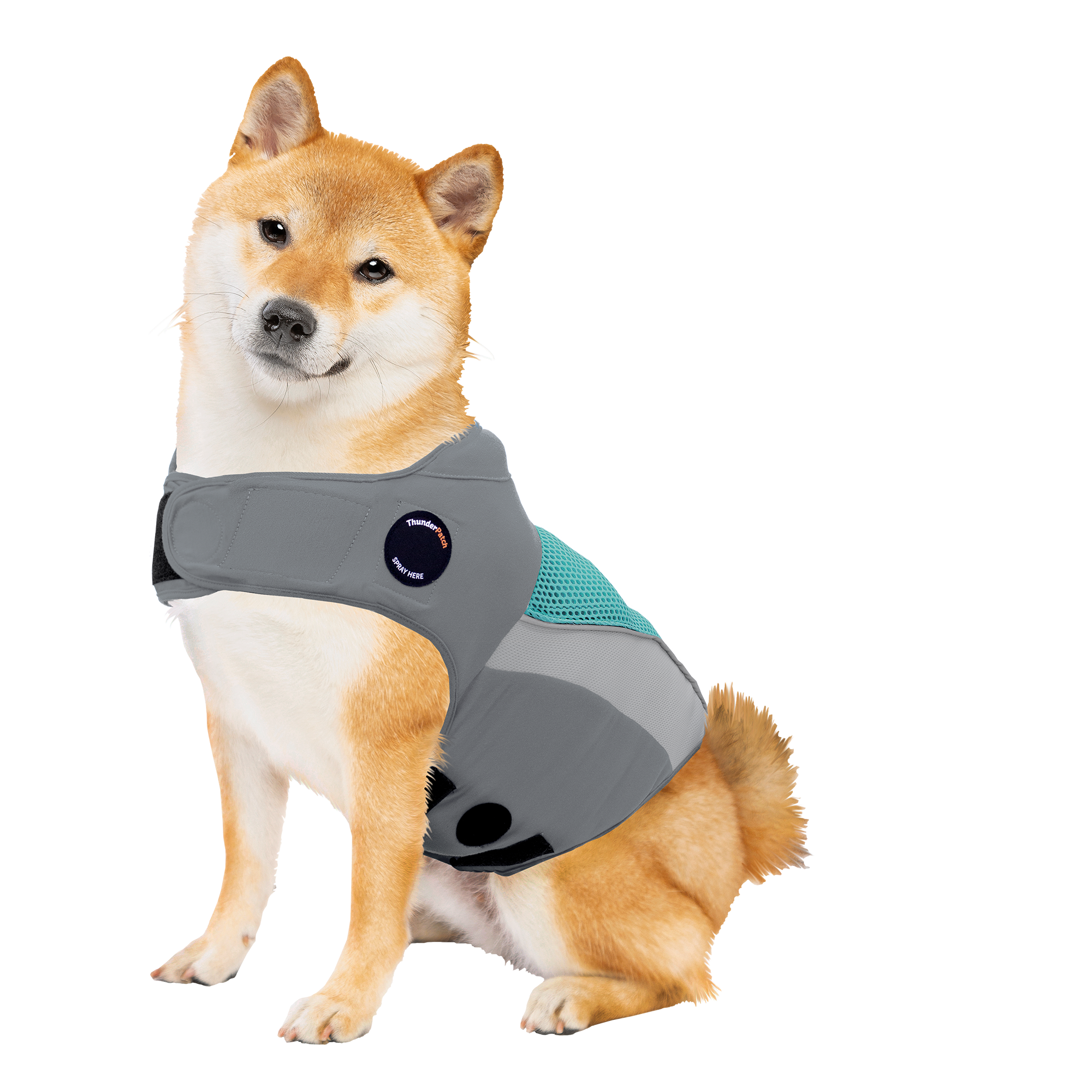 G66512B-M_Aqua_346ea38a-a867-436c-9197-67c92a5ae683.png