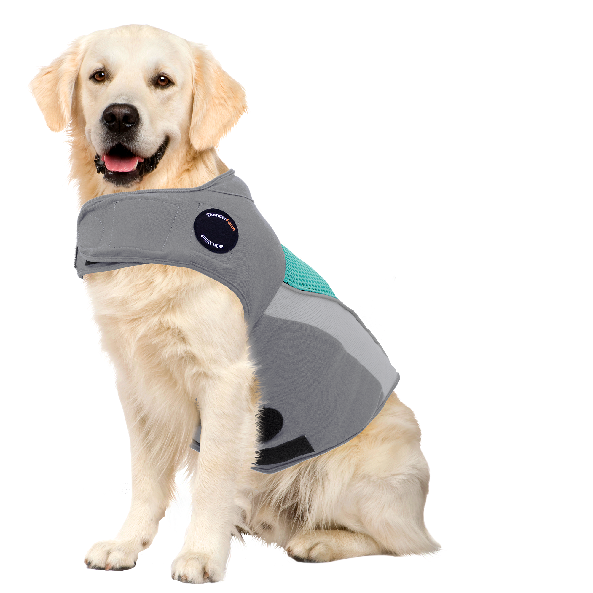 G66514B-XL_Aqua_4fcd9486-60b0-4760-b6c8-3c902e1fead2.png
