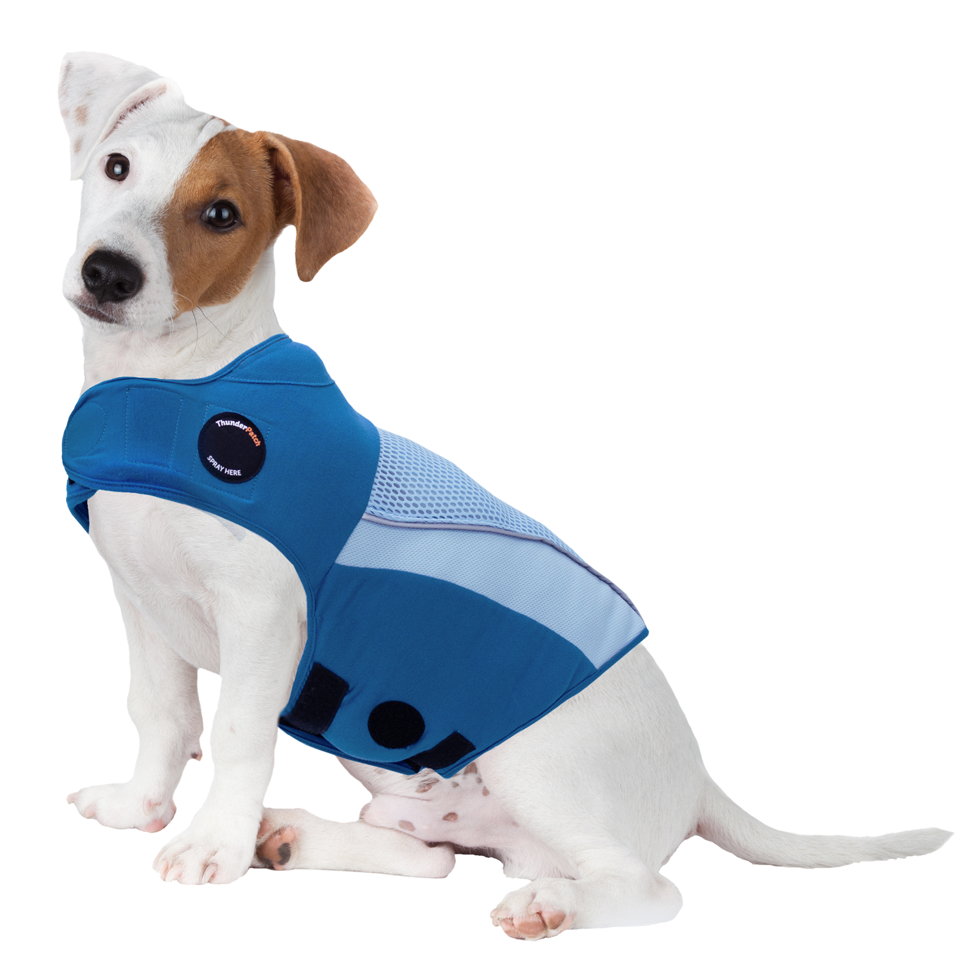 G66521B-S_bLue_239b6aee-6552-43ce-8fc3-a9df2679f999.png
