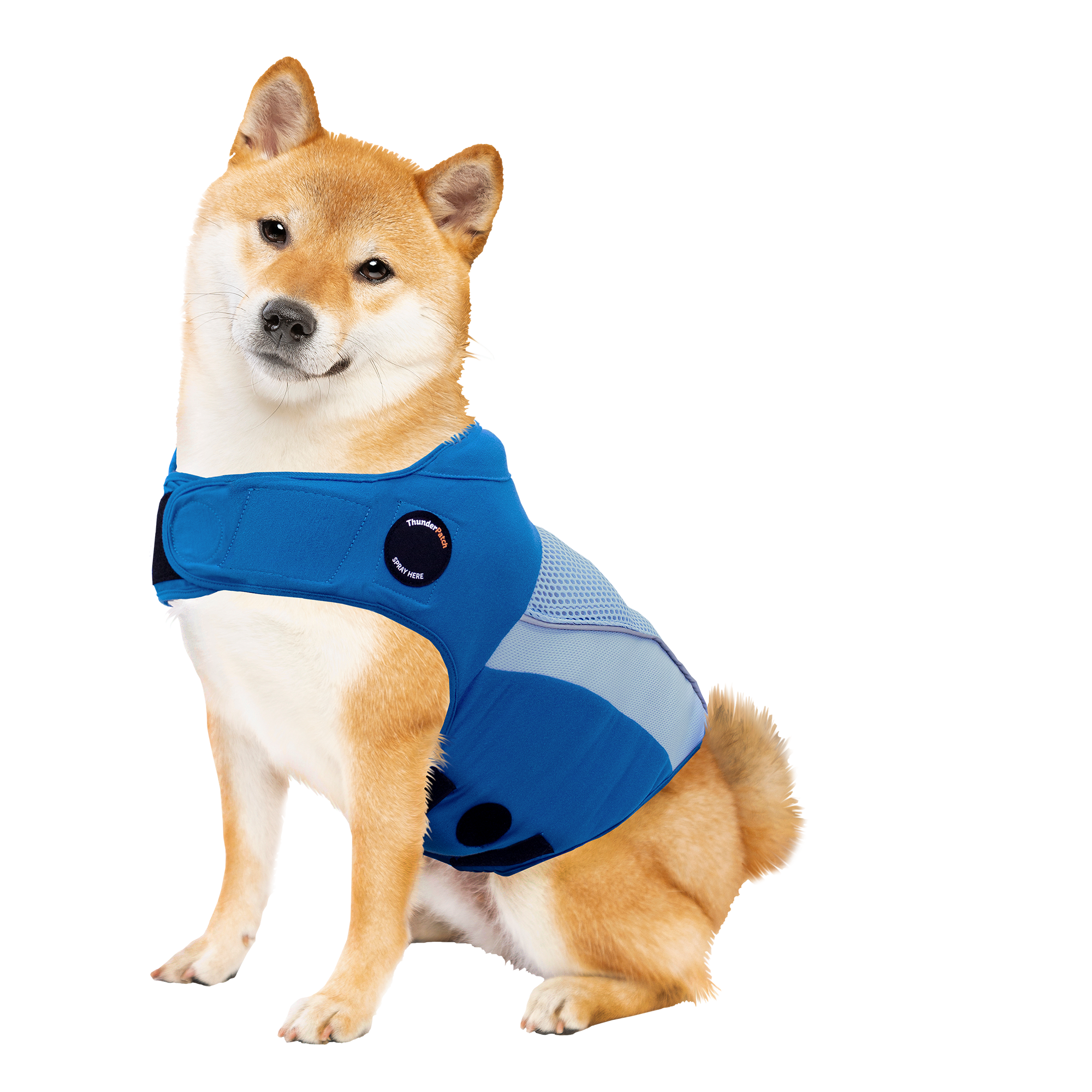 G66522B-M_Blue_abdc2468-b2c8-42cb-97be-920a5245e8ed.png