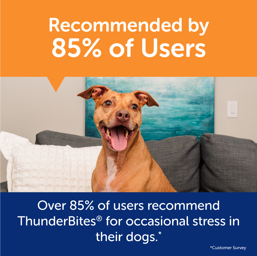 ThunderBites-B__Calm60_07_6240415b-6b4a-4f5b-bf04-d4cc76daabd4.png