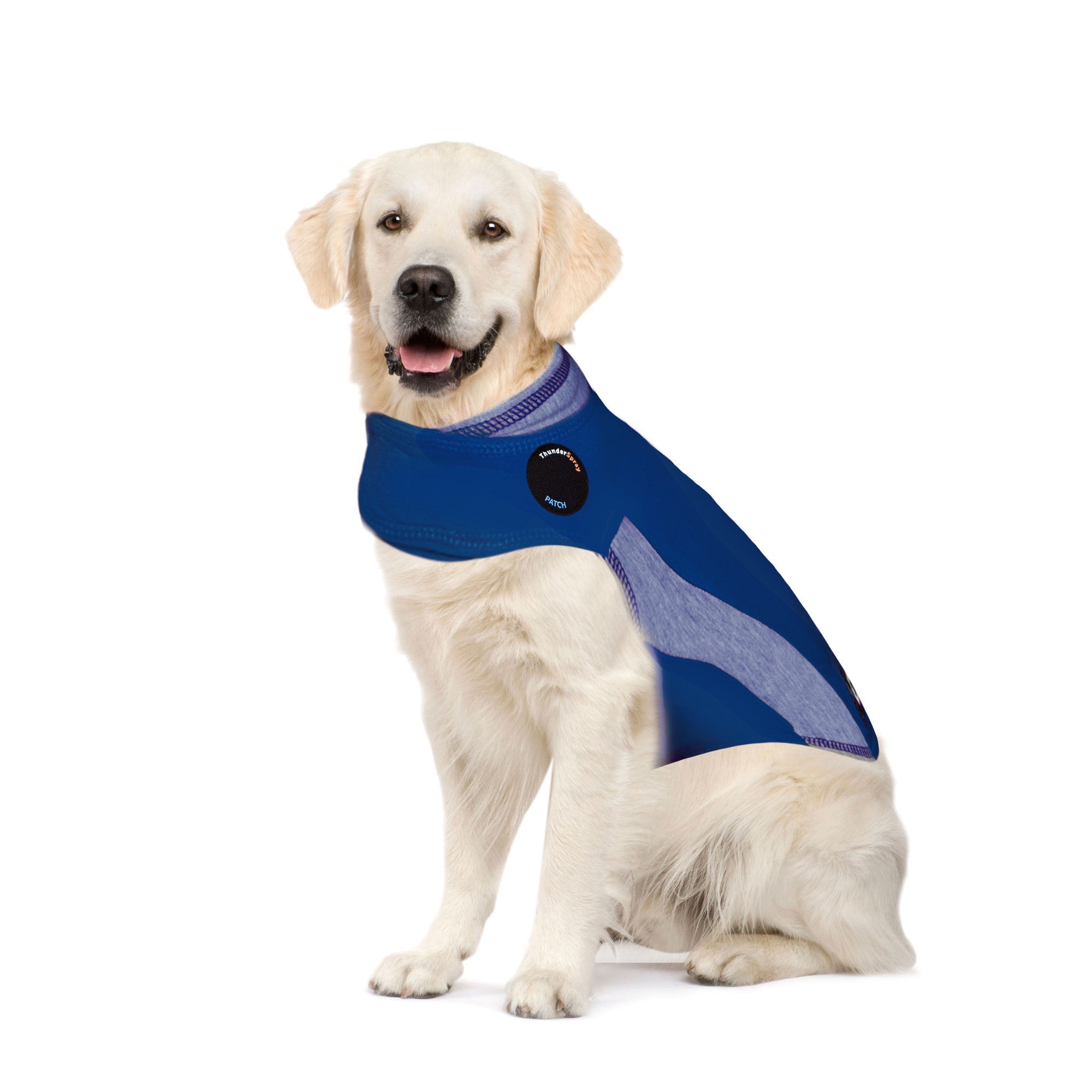 ThunderShirt_for_Dogs_-_Blue_Polo_-_XL.jpg