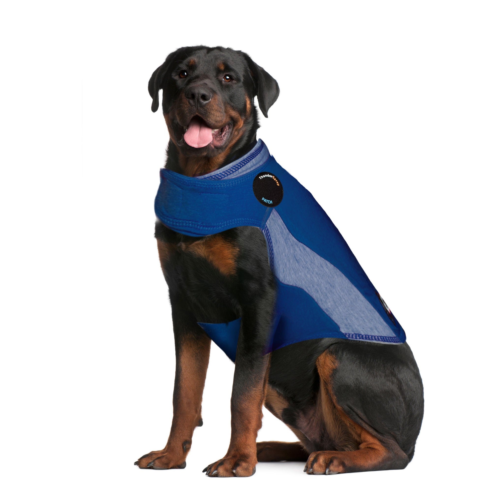 ThunderShirt_for_Dogs_-_Blue_Polo_-_XXL.jpg