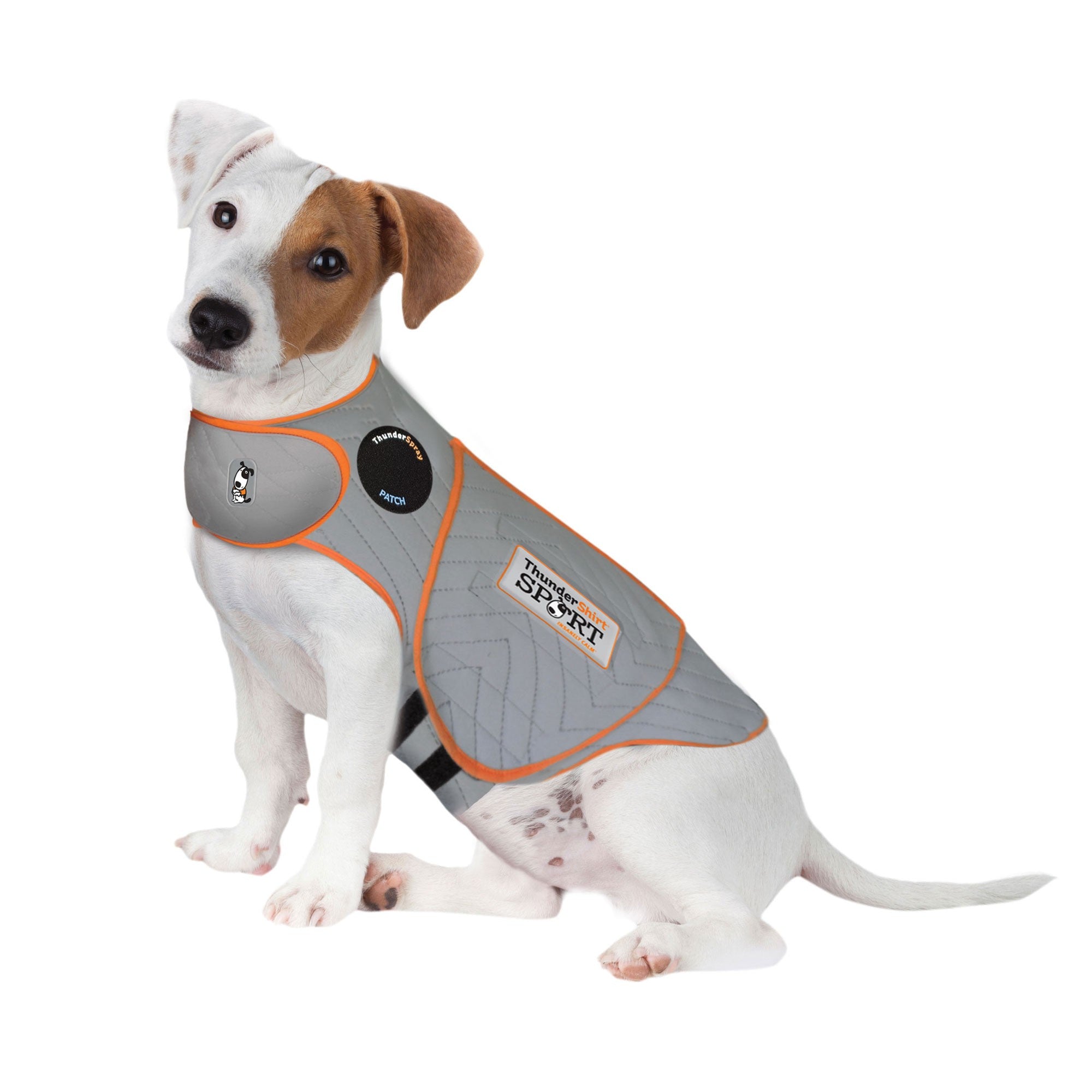 ThunderShirt_for_Dogs_-_Platinum_Sport_-Small.jpg