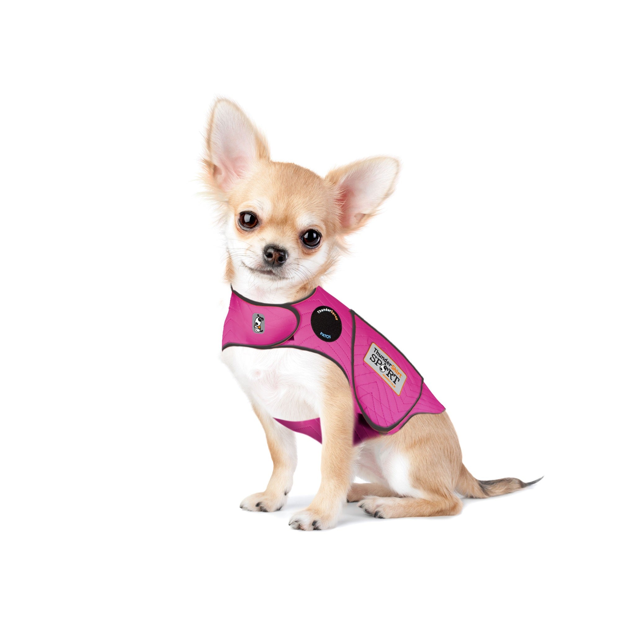 ThunderShirt_for_dogs_-_Fuchsia_Sport_-_XX-Small.jpg