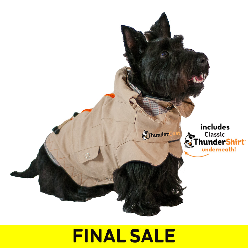 thundercoat_finalsale_main1.jpg
